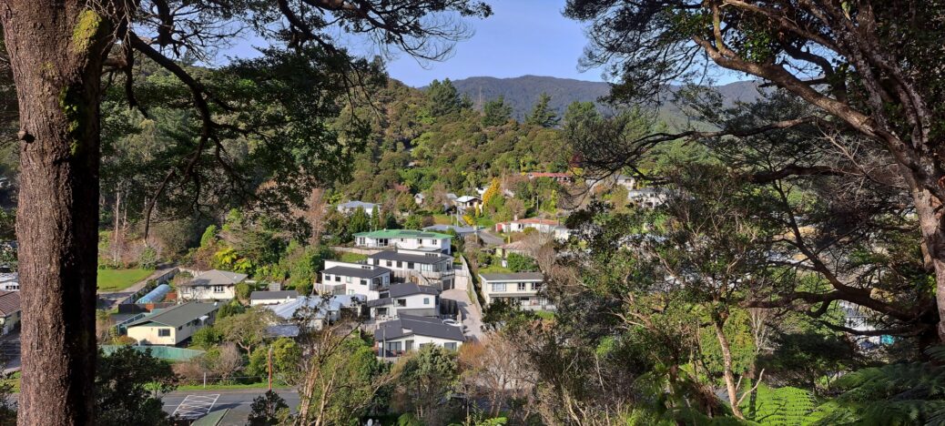 Looking down toward Hair Street from Hair Street Ridge - 2025 - © wainuiomata.net