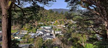 Looking down toward Hair Street from Hair Street Ridge - 2025 - © wainuiomata.net
