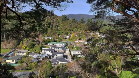 Looking down toward Hair Street from Hair Street Ridge - 2025 - © wainuiomata.net