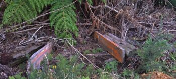 Remnants of an old gate on Hair Street Ridge - 2025 - © wainuiomata.net