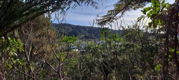 Looking west from Hair Street Ridge - 2025 - © wainuiomata.net