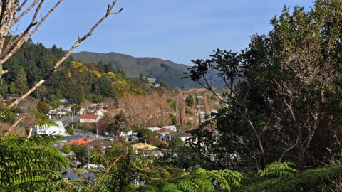 Main Road and Coast Road Valley seen from Hair Street Ridge - 2025 - © wainuiomata.net