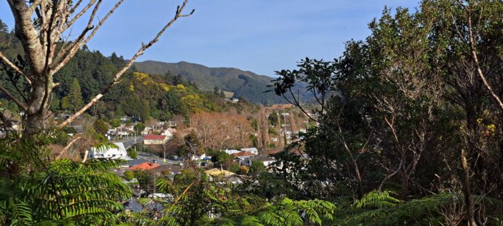 Main Road and Coast Road Valley seen from Hair Street Ridge - 2025 - © wainuiomata.net