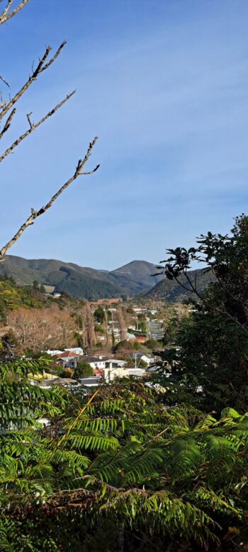 Coast Road Valley & Peel Place seen from Hair Street Ridge - 2025 - © wainuiomata.net
