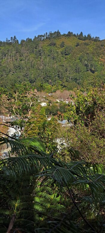 Looking toward Mt Crowther from Hair Street Ridge - 2025 - © wainuiomata.net