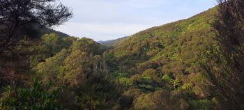 Reservoir Valley & Gums Loop - 2025 - © wainuiomata.net