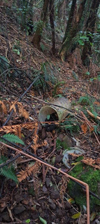 Old bucket - 2025 - © wainuiomata.net