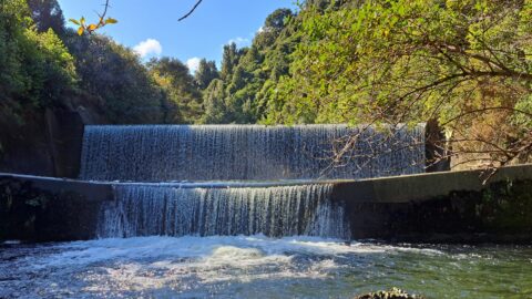 Lower Dam Spillway - 2025 - © wainuiomata.net