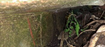 Old concrete artefact - 2025 - © wainuiomata.net