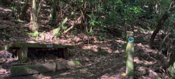 Hayward Eastern Hills Scenic Reserve - 2025 - © wainuiomata.net