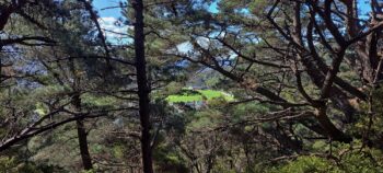 Te Whiti Park as seen from Hayward Eastern Hills Scenic Reserve - 2025 - © wainuiomata.net