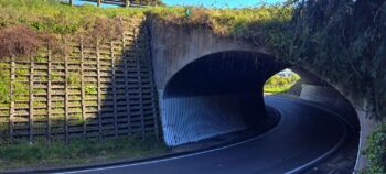 Wainuiomata Road Tunnel - 2025 - © wainuiomata.net