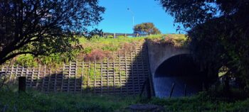Wainuiomata Road and tunnel - 2025 - © wainuiomata.net