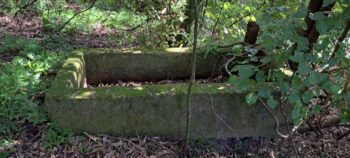 Water trough / grave on the Wainuiomata Road side of Hayward Eastern Hills Scenic Reserve - 2025 - © wainuiomata.net