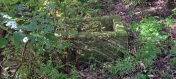 Water trough / grave on the Wainuiomata Road side of Hayward Eastern Hills Scenic Reserve - 2025 - © wainuiomata.net