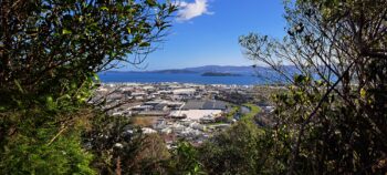 Gracefield and Wellington Harbour as seen from, the Eastern Hills Scenic Reserve - 2025 - © wainuiomata.net
