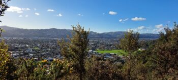 Hutt Valley & Te Whiti Park as seen from Eastern Hills Scenic Reserve - 2025 - © wainuiomata.net