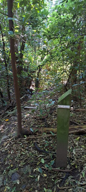 Track marker in Eastern Hills Scenic Reserve - 2025 - © wainuiomata.net
