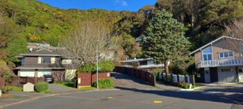 Mawson Street with Eastern Hills Scenic Reserve - 2025 - © wainuiomata.net