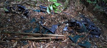 Old Bivvy near Sledge Track - 2025 - © wainuiomata.net