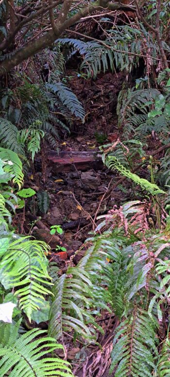 Old pipe brick facade - 2025 - © wainuiomata.net