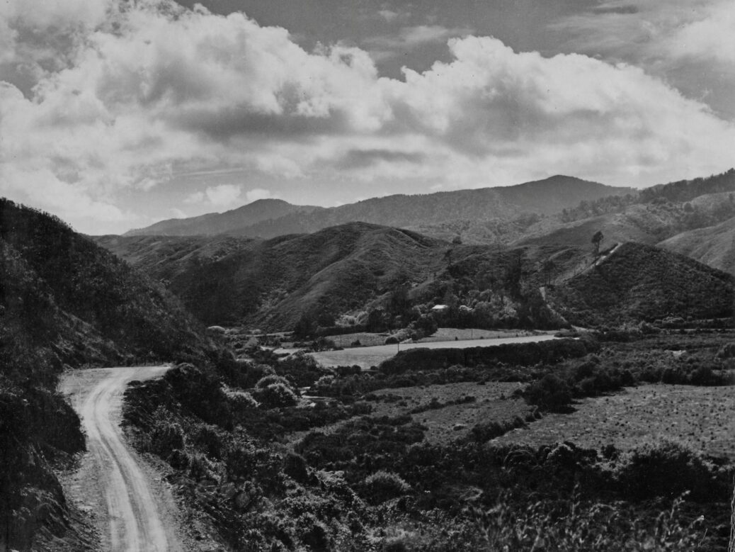 Moores Valley Road - c1958 - WHMS:L3716F