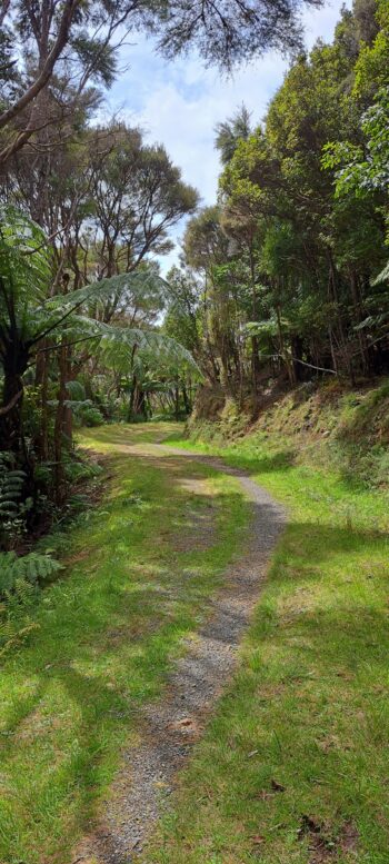 Tana Umaga Track - 2025 - © wainuiomata.net