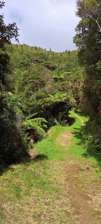 Tana Umaga Track - 2025 - © wainuiomata.net