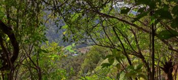 View from a Geological Survey Route - 2025 - © wainuiomata.net
