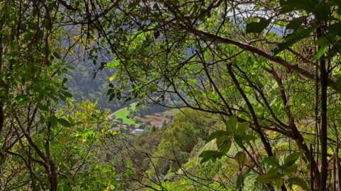 View from a Geological Survey Route - 2025 - © wainuiomata.net