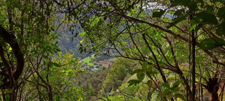 View from a Geological Survey Route - 2025 - © wainuiomata.net