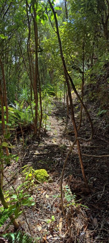 Geological Survey Route - 2025 - © wainuiomata.net