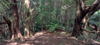 Geological Survey Route - 2025 - © wainuiomata.net