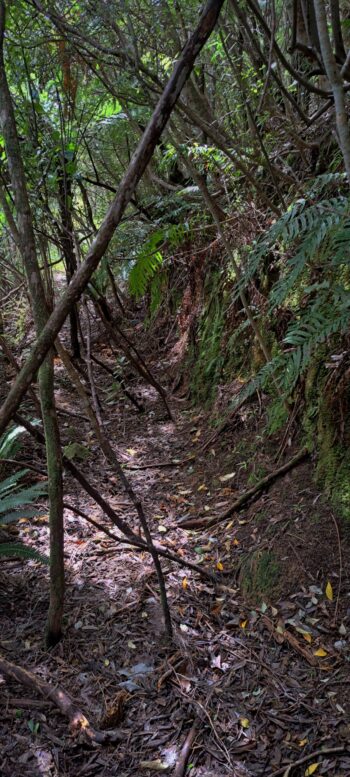 Geological Survey Route - 2025 - © wainuiomata.net
