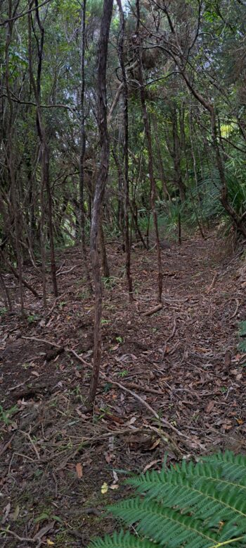 Geological Survey Route - 2025 - © wainuiomata.net