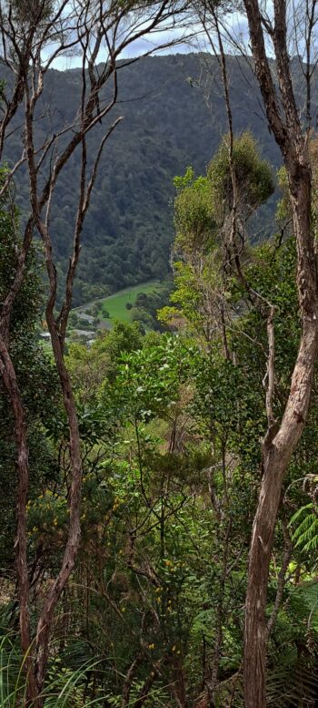 View from a Geological Survey Route - 2025 - © wainuiomata.net