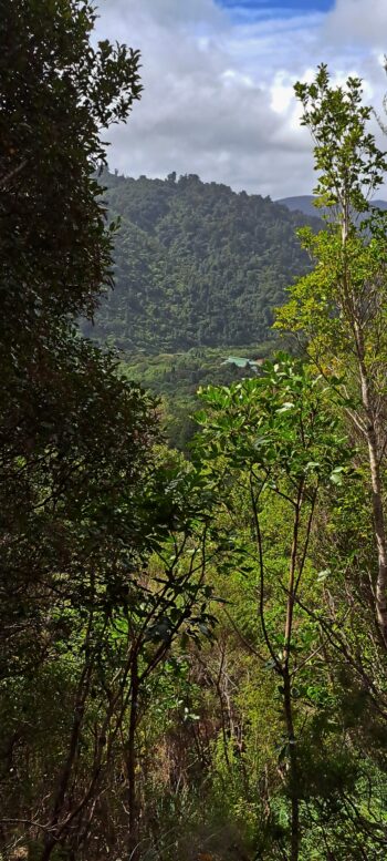 View from a Geological Survey Route - 2025 - © wainuiomata.net