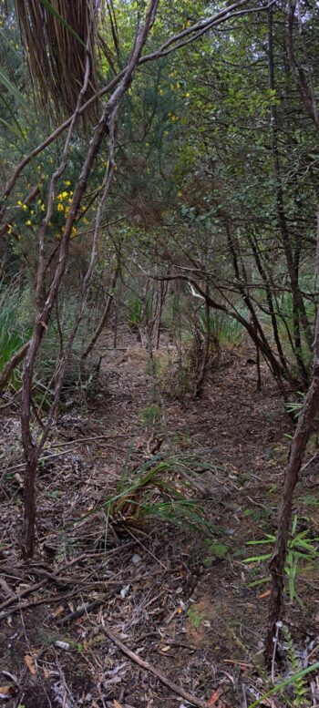 Geological Survey Route - 2025 - © wainuiomata.net