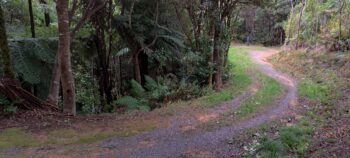 Tana Umaga Track - 2025 - © wainuiomata.net