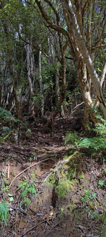 Geological Survey Route - 2025 - © wainuiomata.net