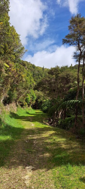 Tana Umaga Track - 2025 - © wainuiomata.net