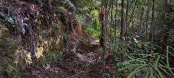 Geological Survey Route - 2025 - © wainuiomata.net