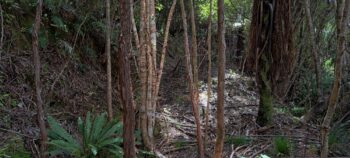 Geological Survey Route - 2025 - © wainuiomata.net