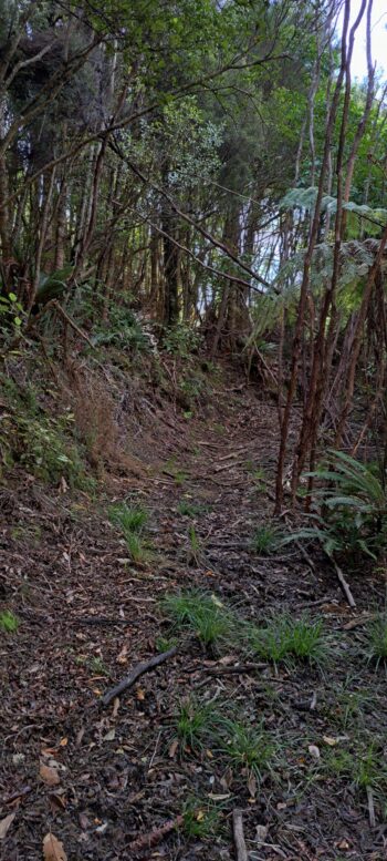 Geological Survey Route - 2025 - © wainuiomata.net