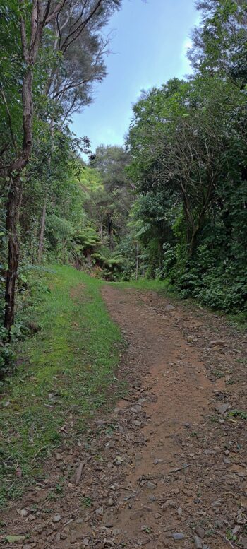 Tana Umaga Track - 2025 - © wainuiomata.net