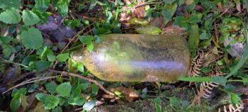 Old Flagon - 2025 - © wainuiomata.net