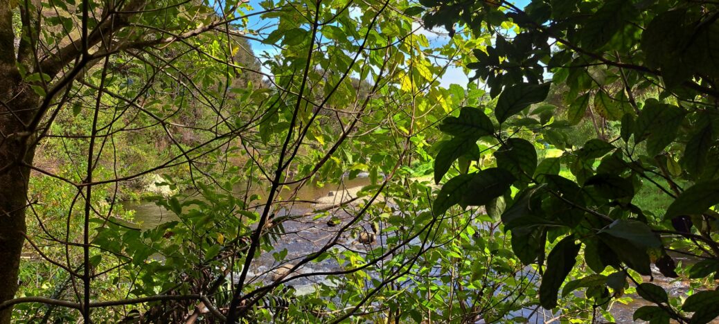 Top Pool - 2025 - © wainuiomata.net