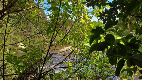 Top Pool - 2025 - © wainuiomata.net