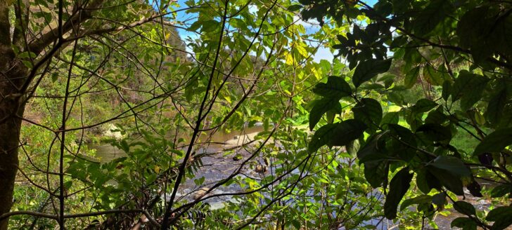 Top Pool - 2025 - © wainuiomata.net