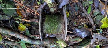 Old Fishing Line - 2025 - © wainuiomata.net